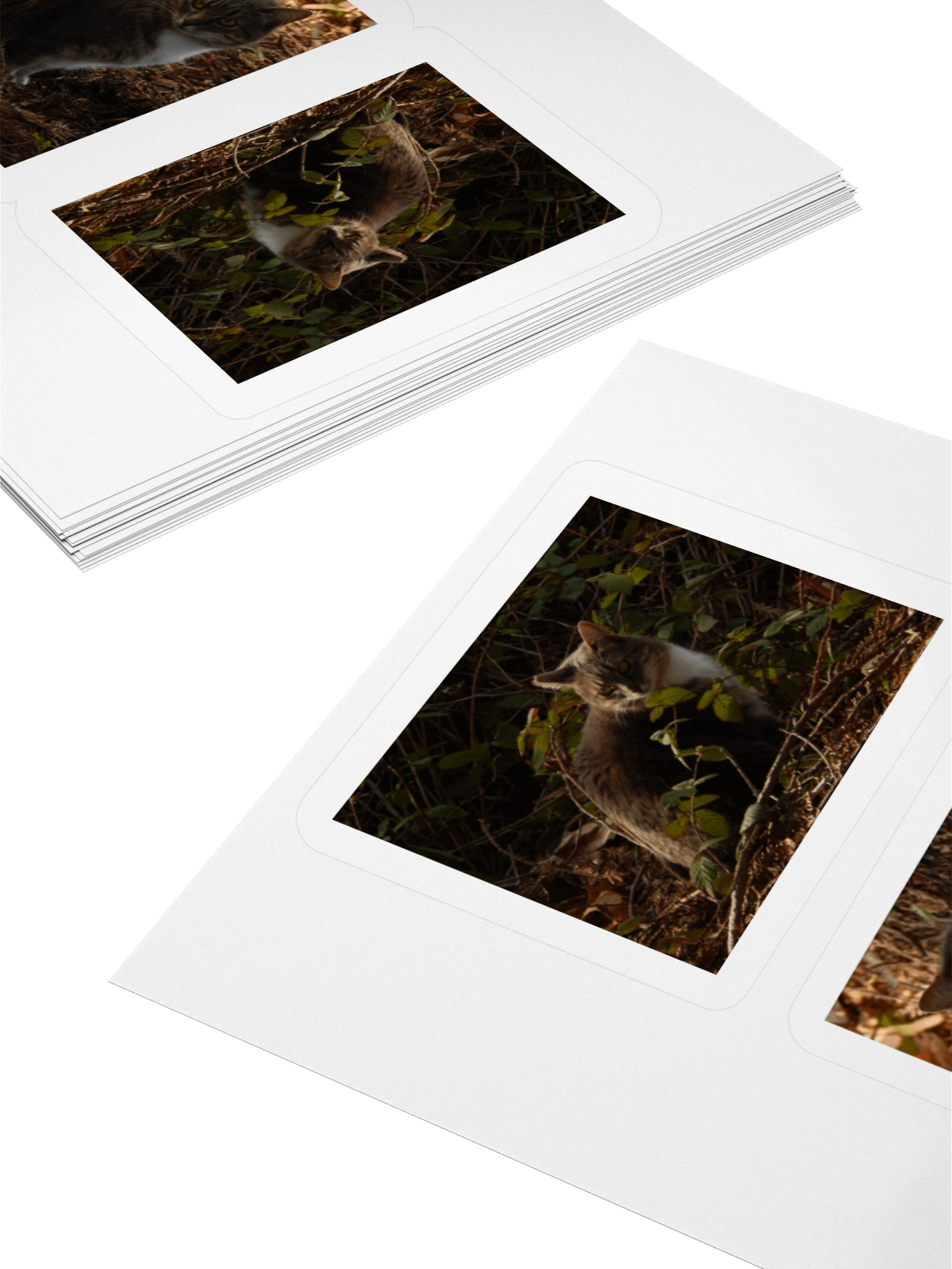 Forest Kitty - Sticker Sheet product image (4)