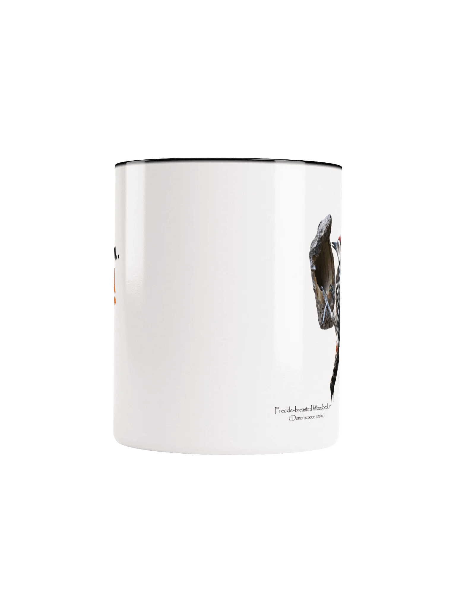 Freckle-Breasted Woodpecker mug product image (45)
