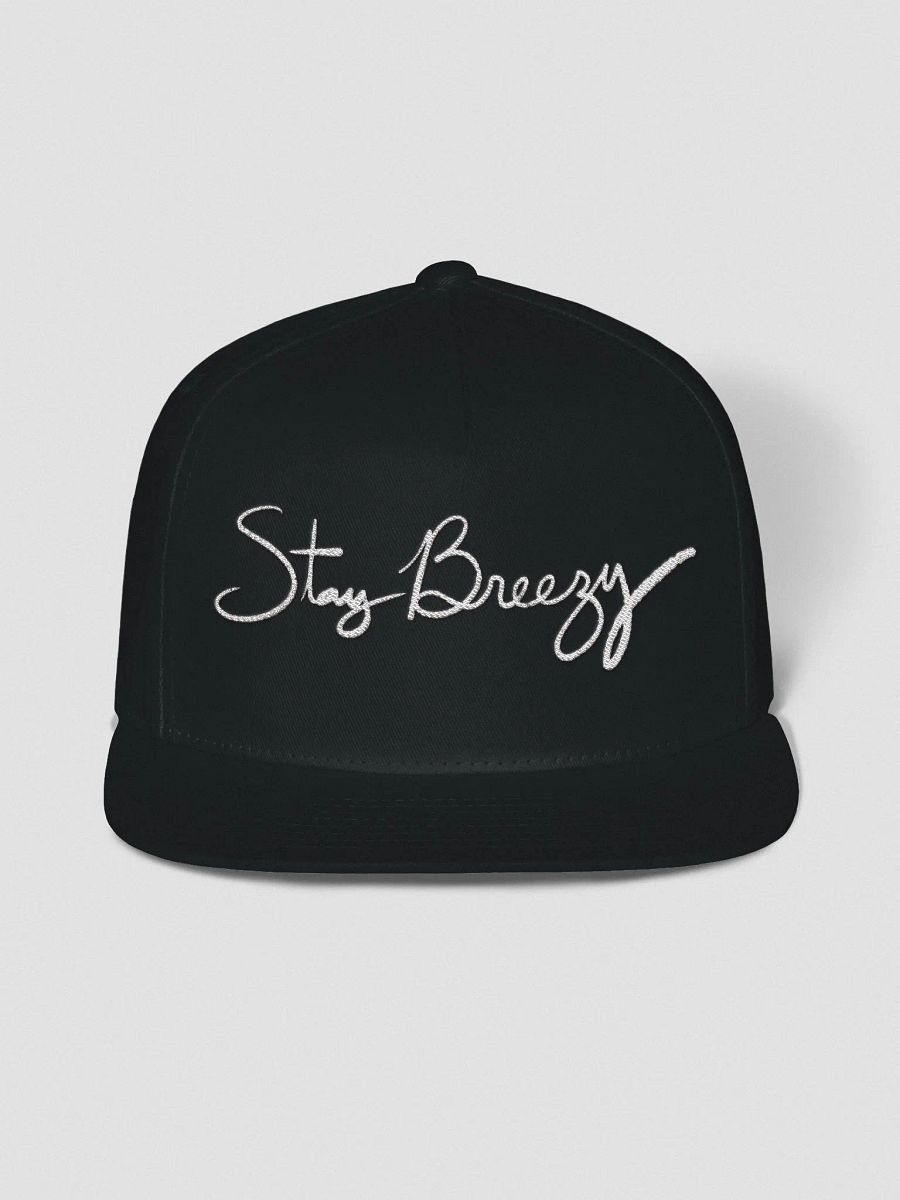 Stay Breezy Signature Snapback! product image (1)