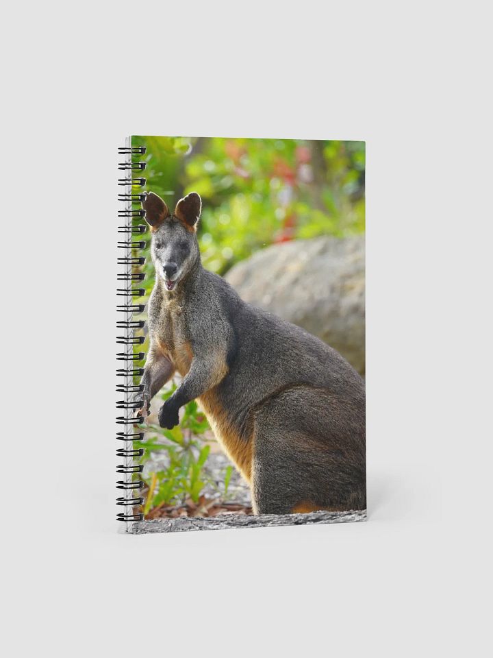 Kangaroo Book product image (1)