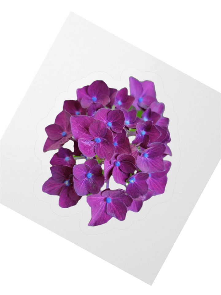 Flower Stickers v1 product image (2)