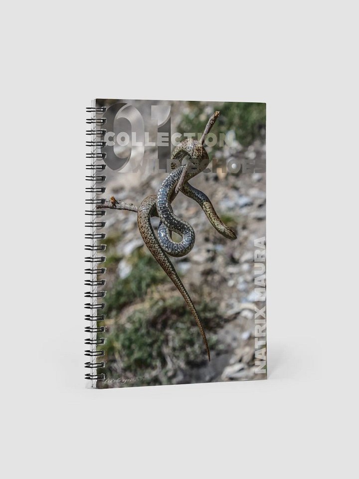 Wild Echoes Notebook – Natrix Maura – A5 Format product image (1)