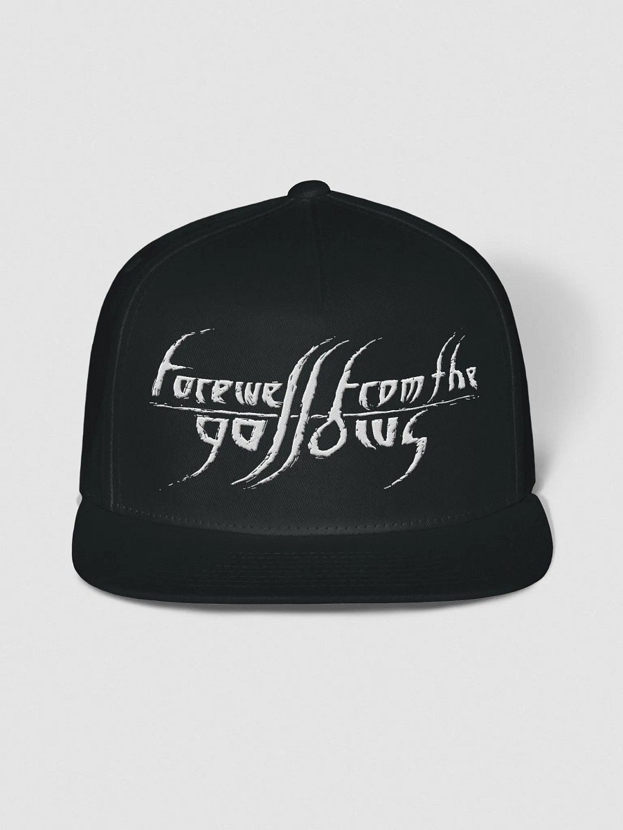 FFTG Snapback product image (1)