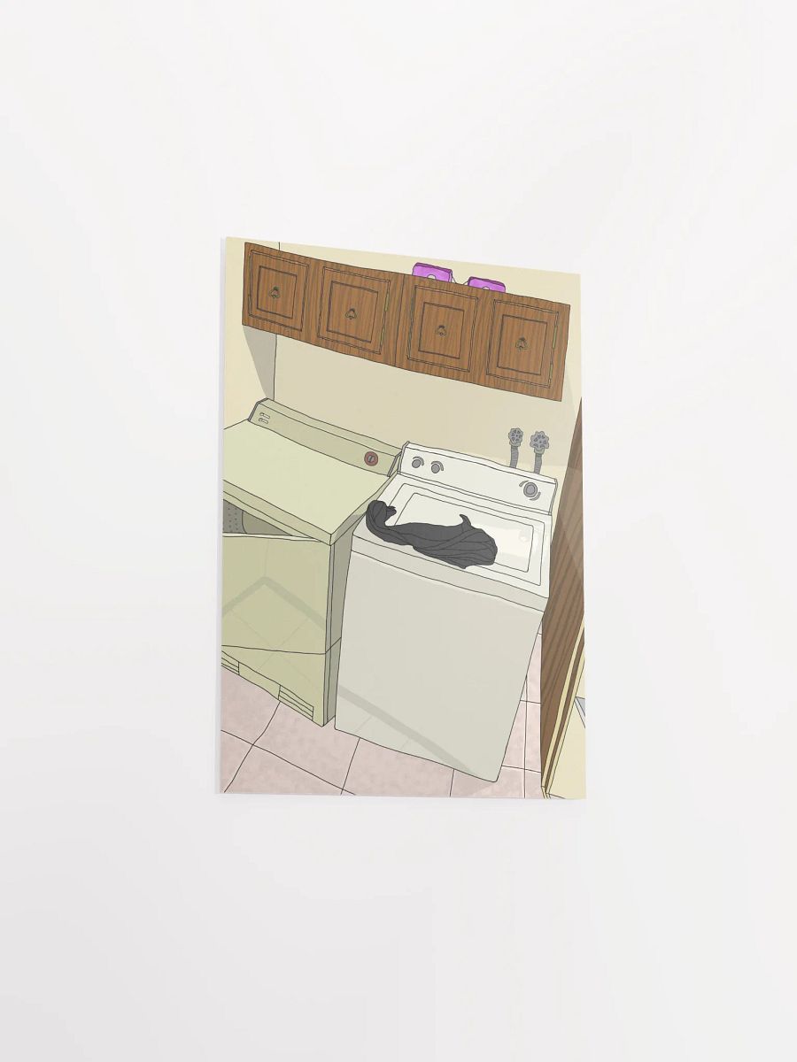 laundry product image (4)