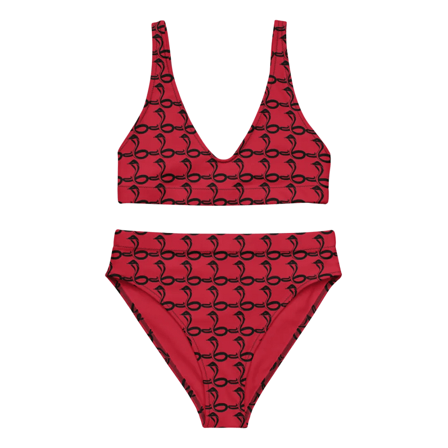 Red Radiance Recycled Bikini Set product image (1)