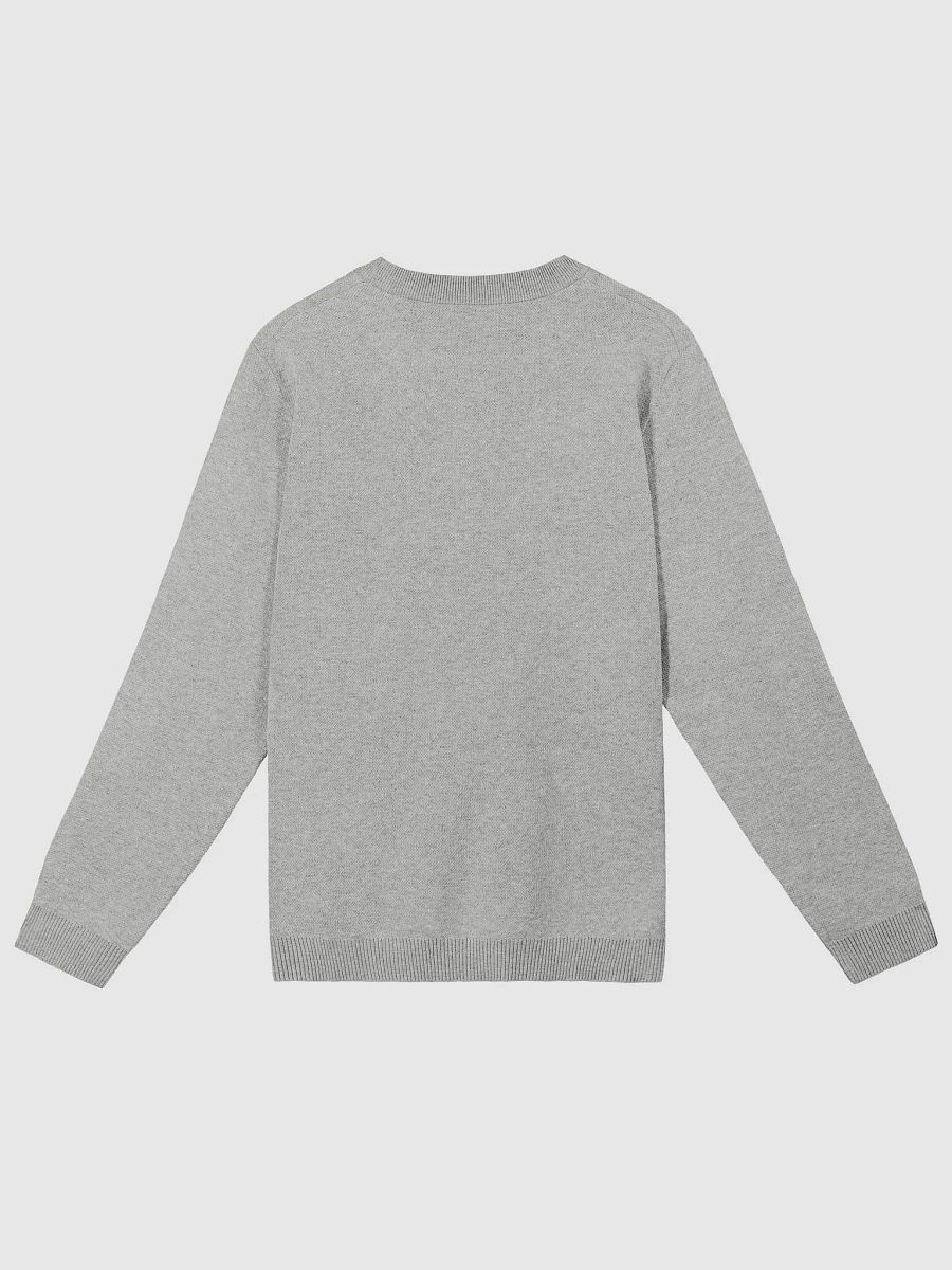 ILES YAURENT © Maglione grigio pane in cotone con motivo ricamato product image (8)