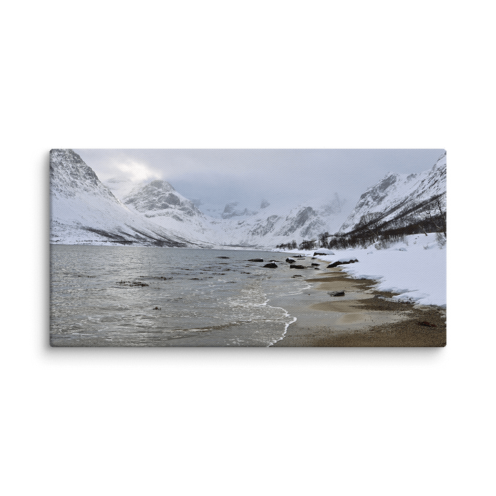 A Norwegian Fjord product image (2)