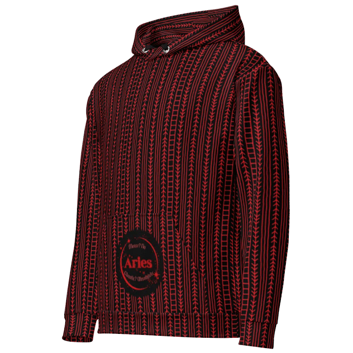 Aries 2025, Messy? No, Hoodie product image (2)