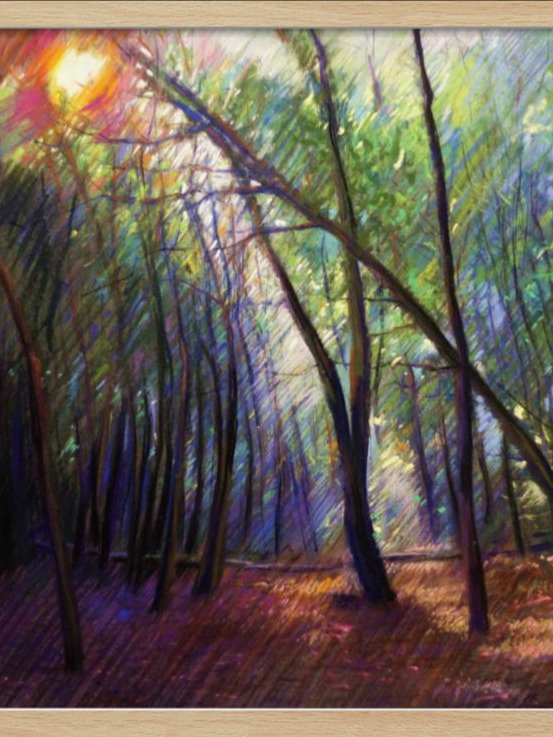 Berg en Dal 05 (2014) product image (12)