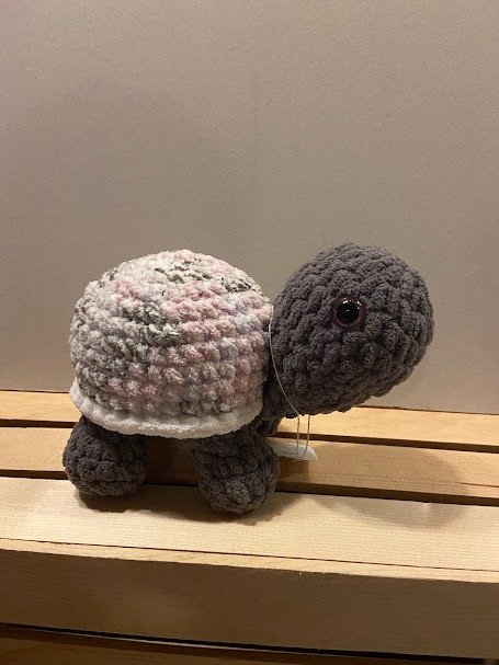 Box Turtle product image (4)