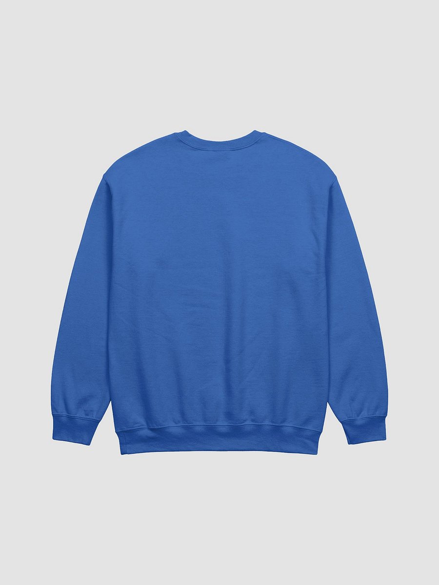 Biker Sweatshirt product image (3)