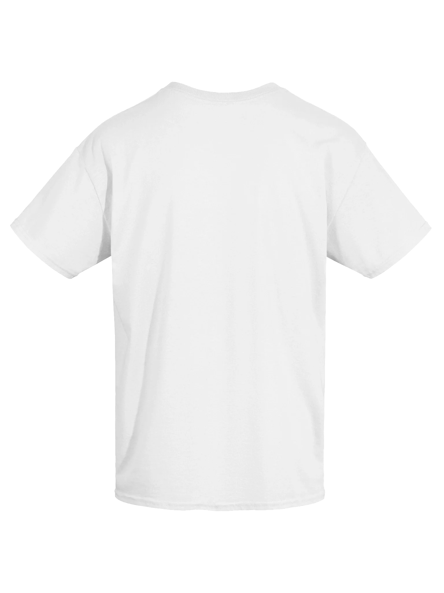 If I End Up Like My Mother, Please Euthanize Me T-Shirt product image (7)