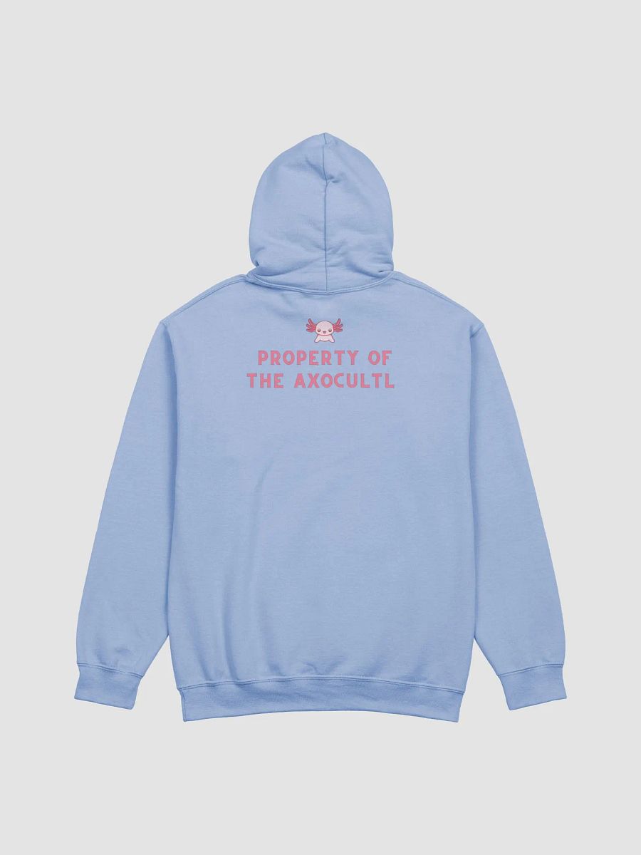 Discord Server AxoCultl Hoodie product image (8)