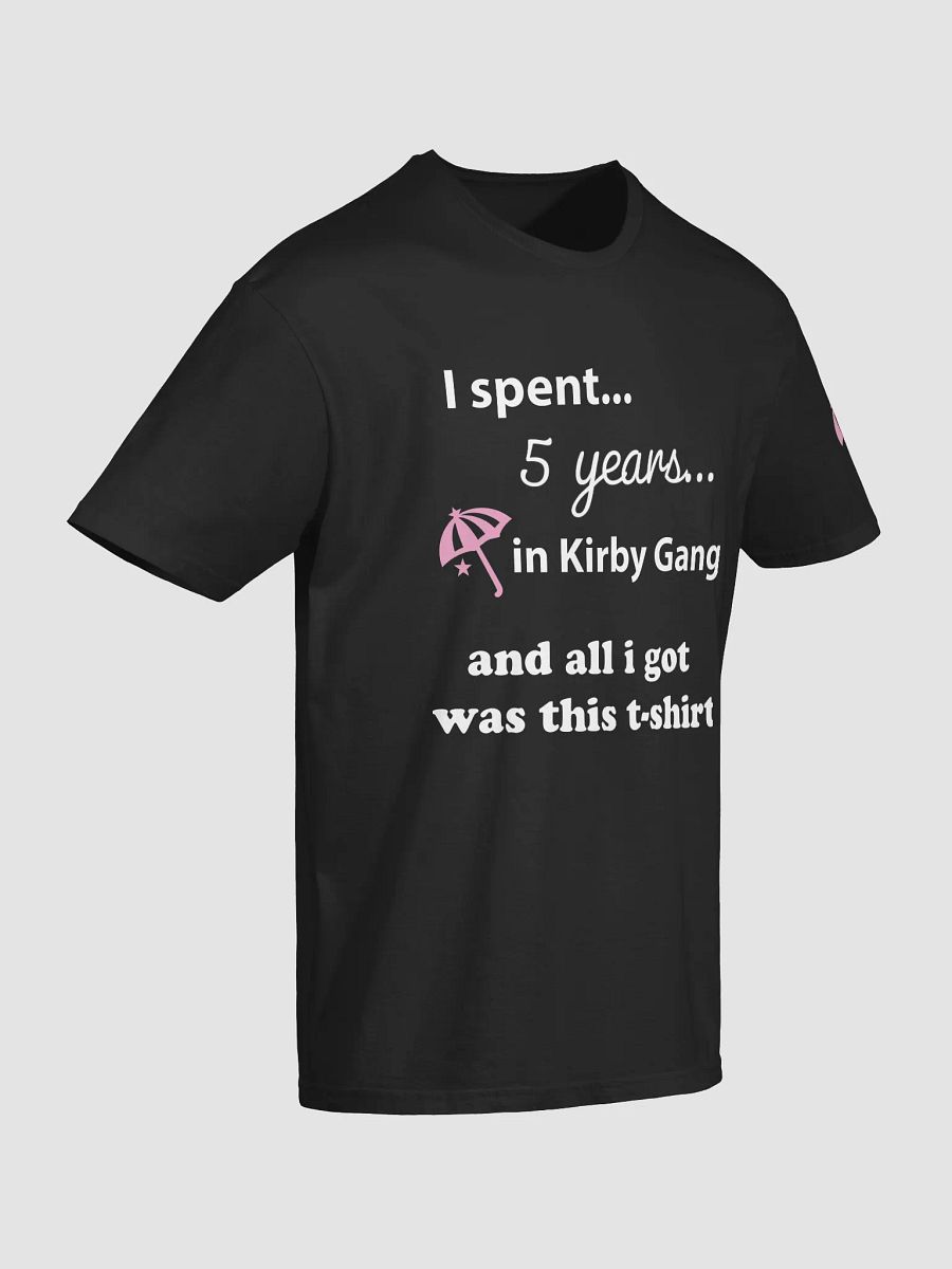 Spent 5 Years Got a T-Shirt product image (2)
