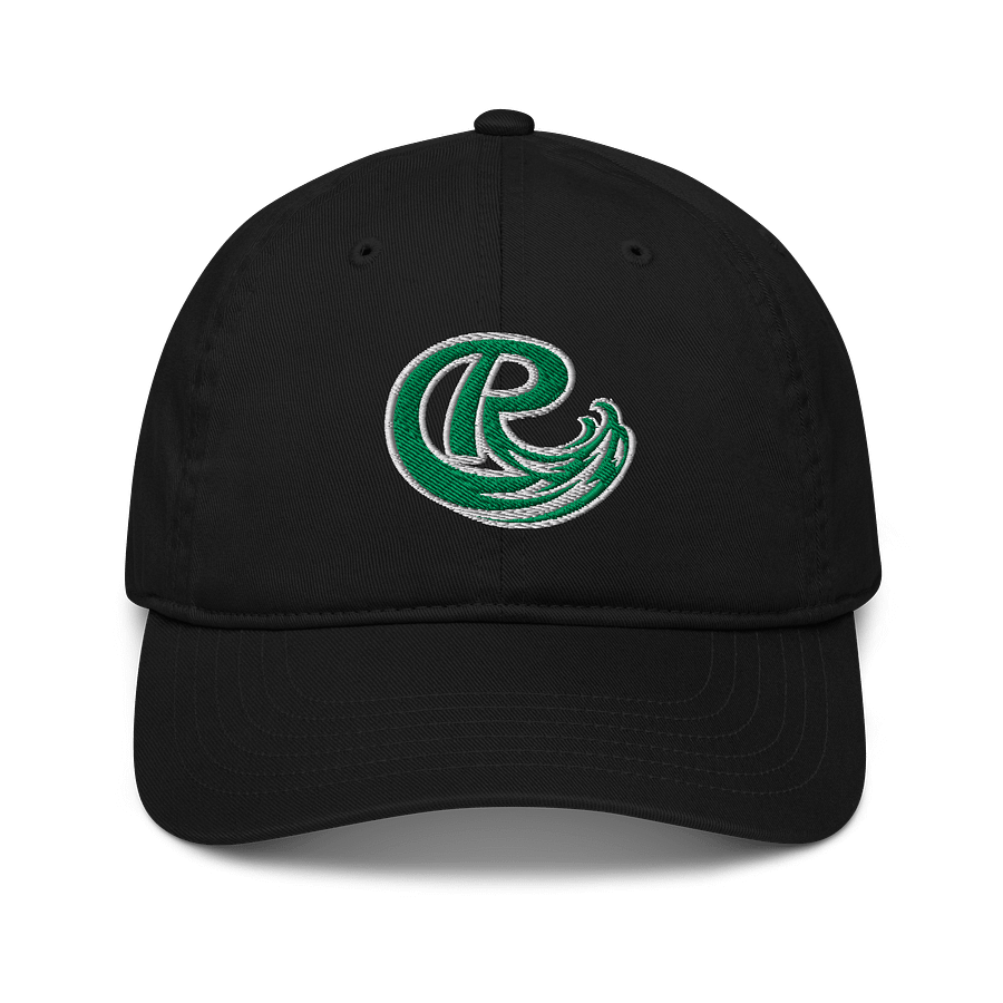 Roosevelt Dad Hat product image (1)