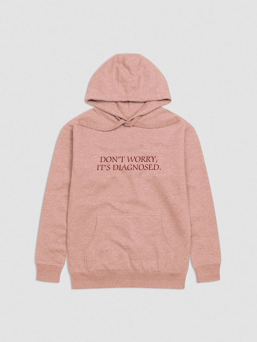 DW, IT'S DIAGNOSED. (maroon) embroidered heavyweight hoodie product image (1)