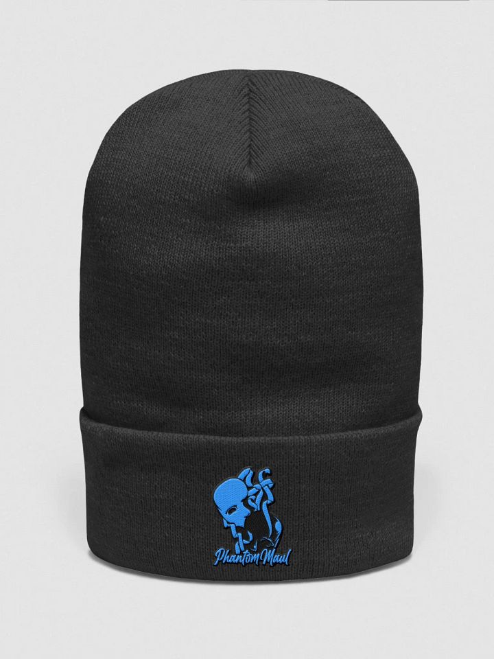 Blue Logo Beanie product image (1)