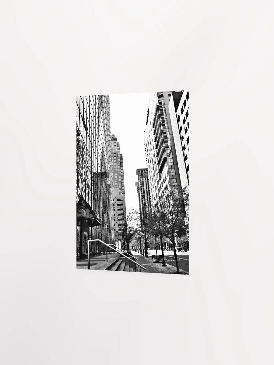 Downtown Orlando 2 product image (18)