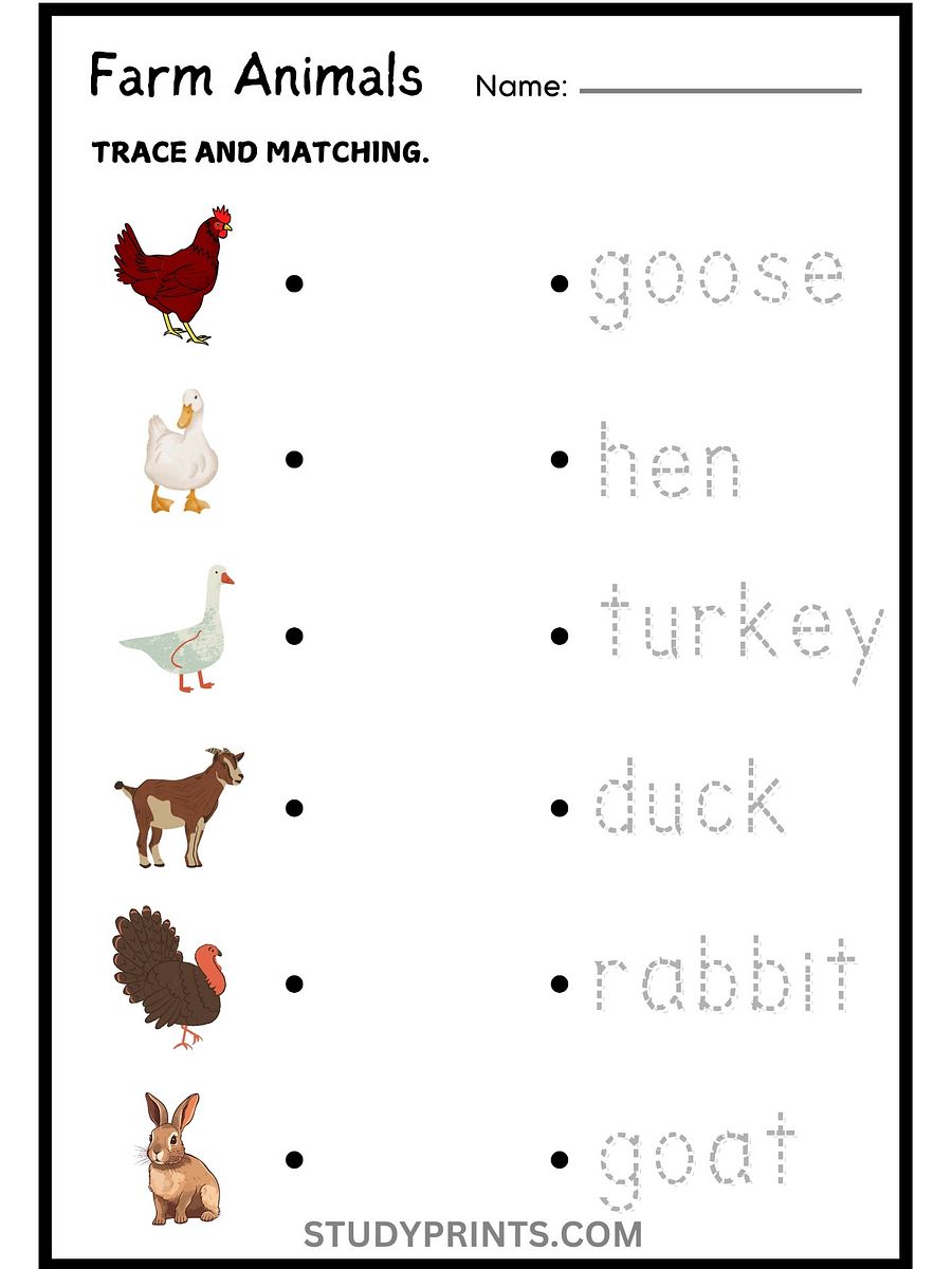 Farm Animals Matching Worksheets for Kids product image (2)