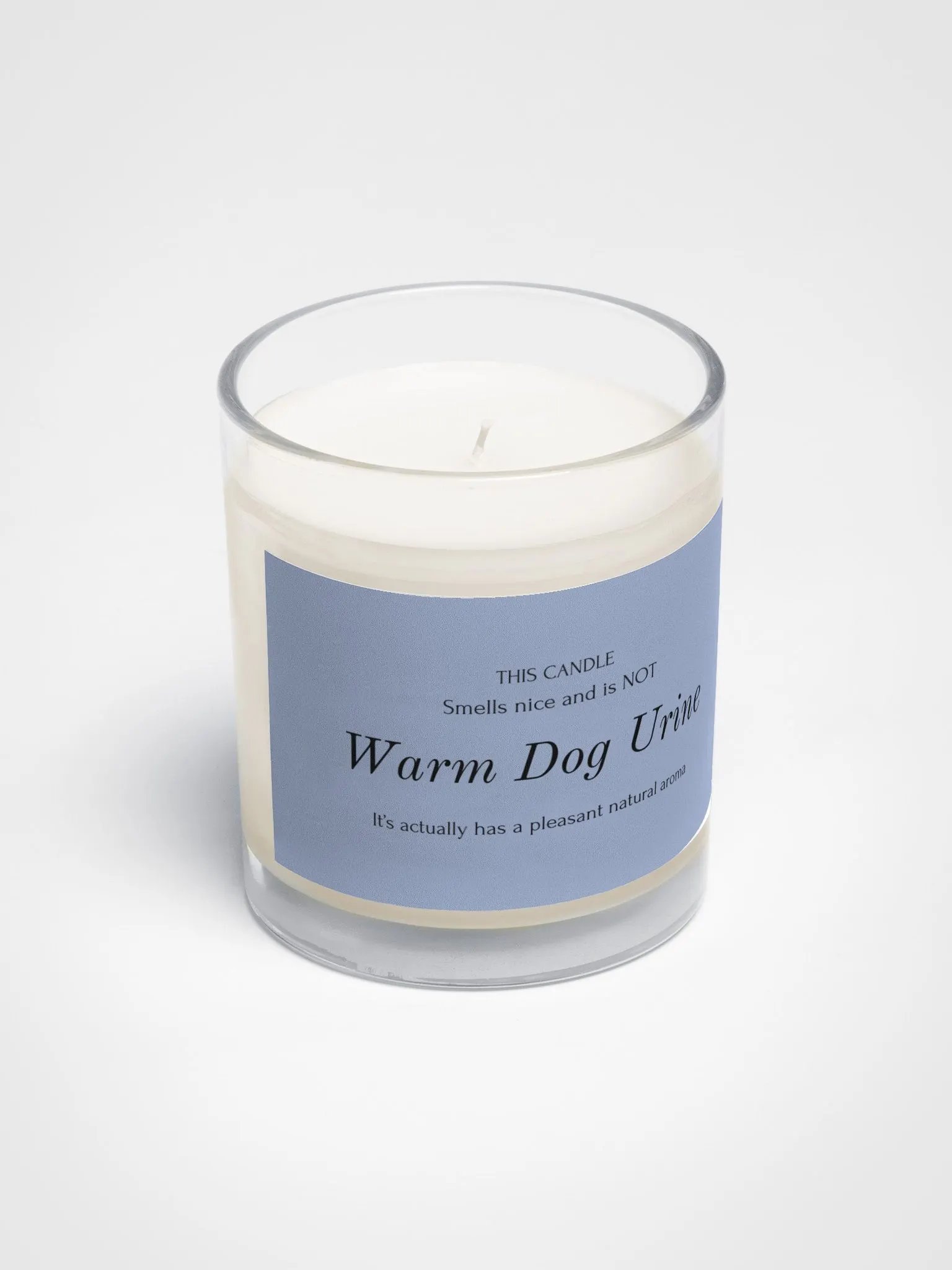 Veterinary humor candle "Warm Dog Urine" product image (2)