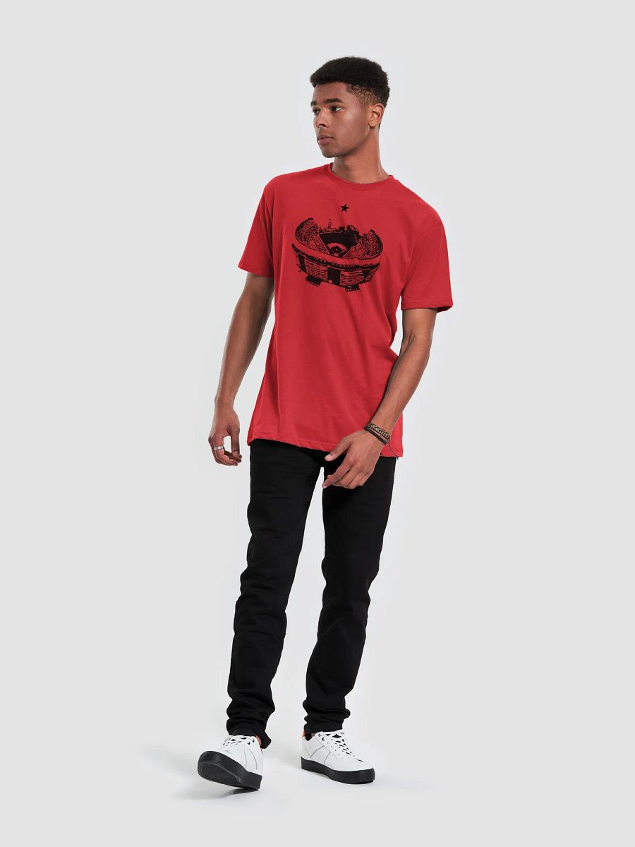 queens tee product image (4)