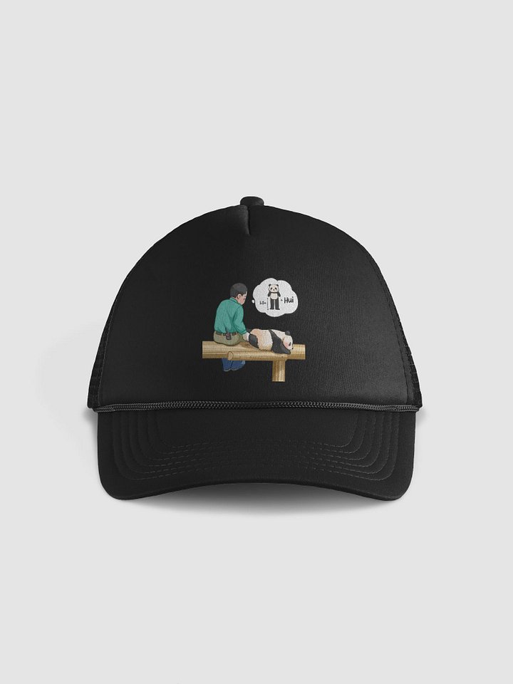 HUIBAO🐼Giant Panda product image (1)