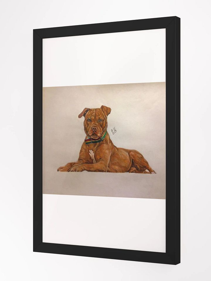 Pitbull Colored Pencil Drawing Framed Print product image (2)