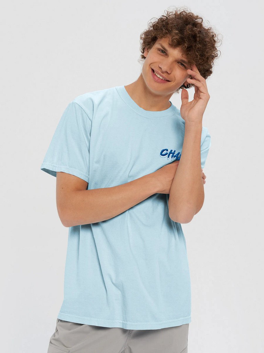 Limited Edition Embroidered Chazy blue T-shirt product image (5)