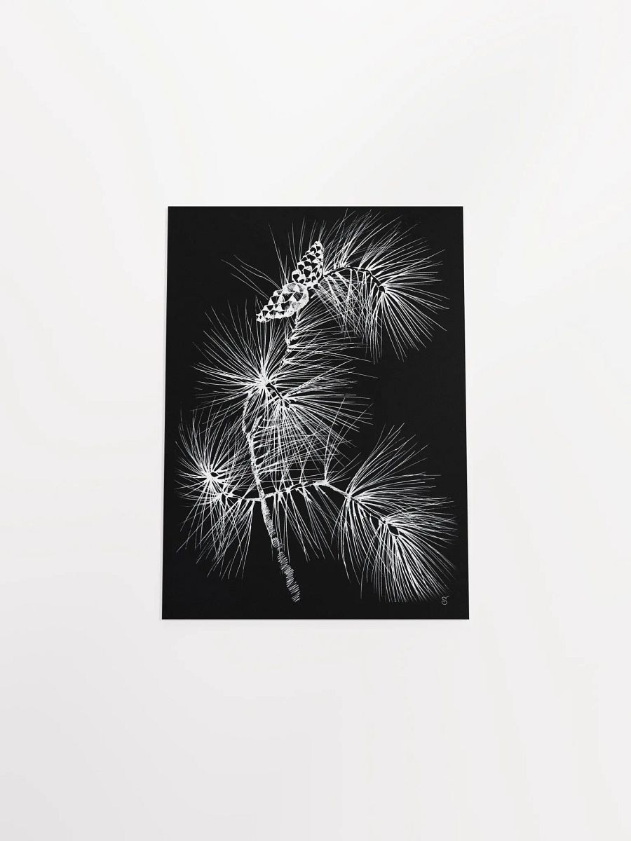 Vibrant Matte Paper Poster - Pine Branch and Cones product image (4)