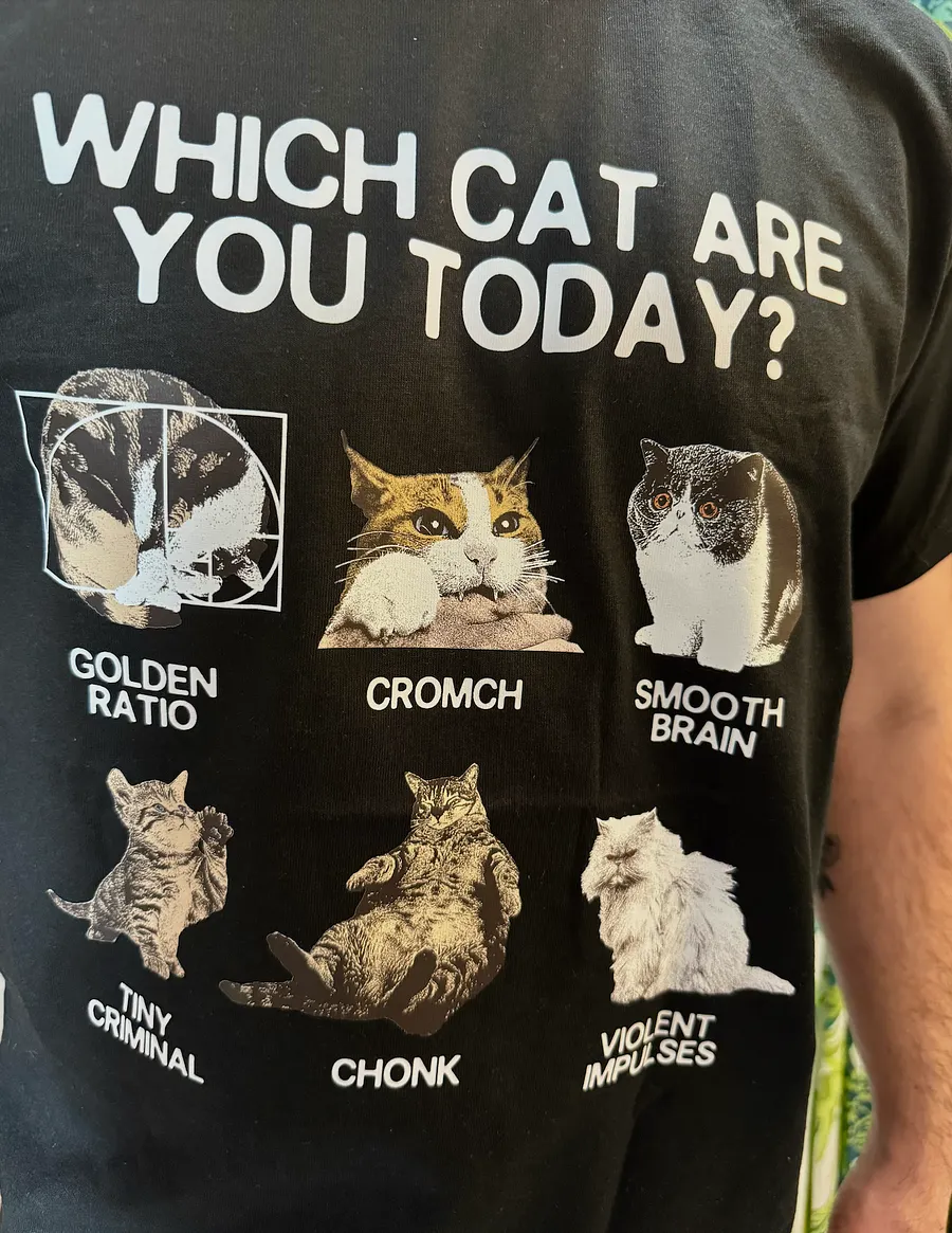 Which Cat Are You Unisex Tee weirdlilguys