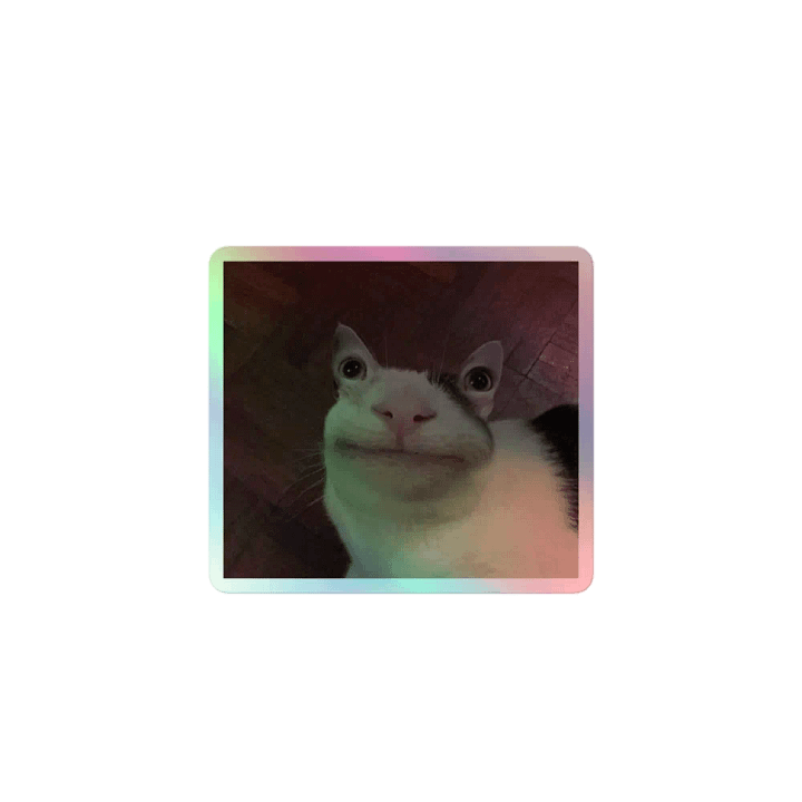 Cat sticker product image (1)
