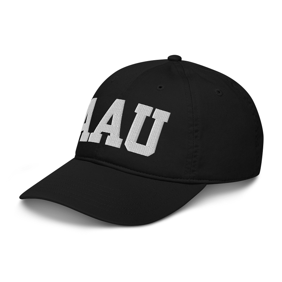 AAU Organic Dad Hat product image (8)