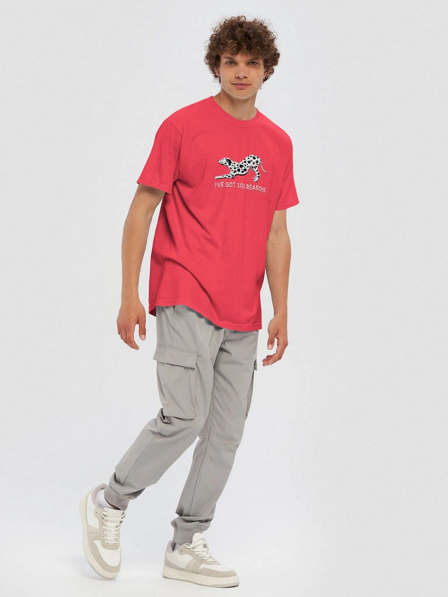 I've Got 101 Reasons T-Shirt(Embroidered) of a Dalmatian product image (11)