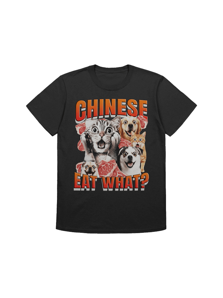 Chinese Eat What? T-Shirt product image (1)
