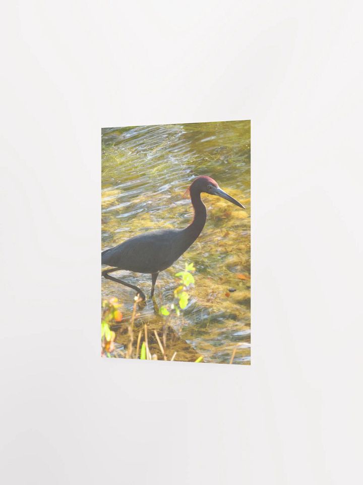 Heron product image (23)