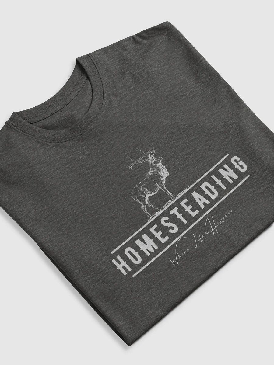 Homesteading Men's Tee product image (1)