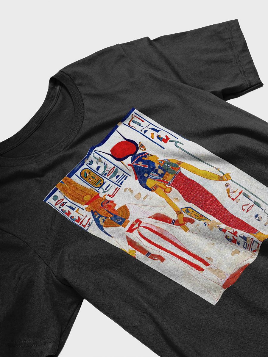 Queen Nefertari Ancient Egypt Art Unisex T-Shirt product image (3)