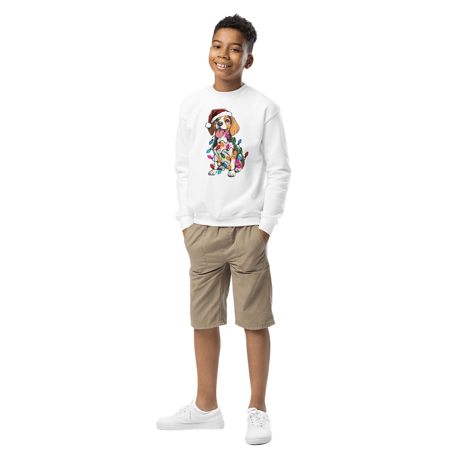 Funny Christmas Beagle Youth Sweatshirt product image (6)