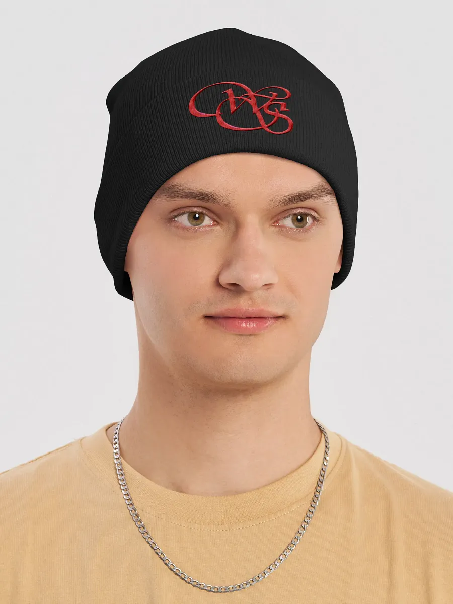 WS Knit Beanie product image (21)
