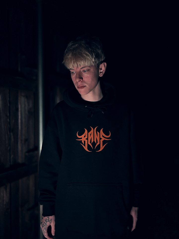 COGNITOHAZARD HOODIE product image (1)