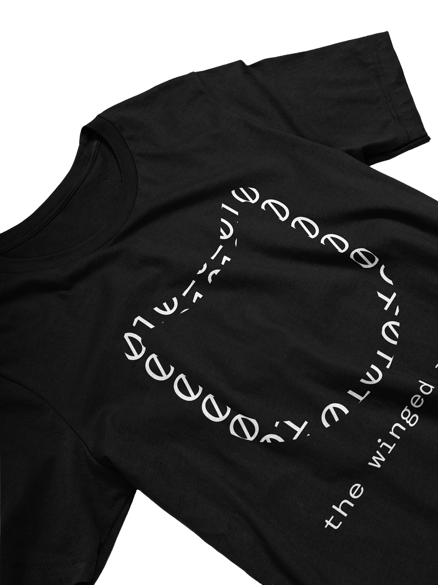 Developer - Unisex Shirt product image (6)