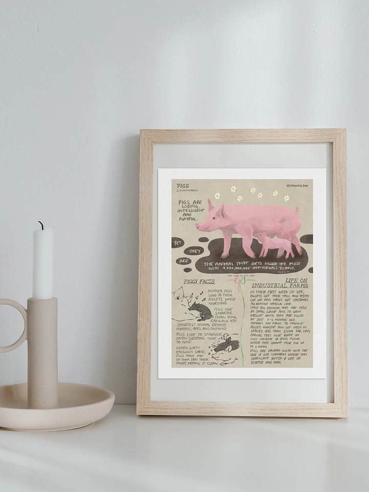 Pig Educational Print – Veganuary 2024 product image (1)