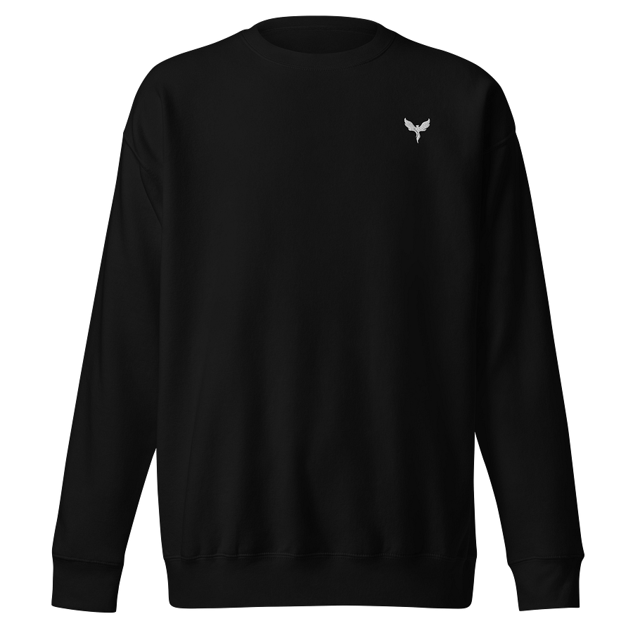 LSV Training Club Pullover product image (2)