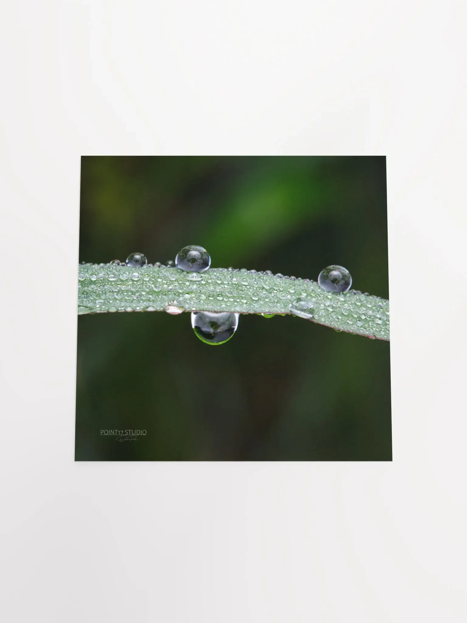 Dew Gems #7 - Print product image (10)