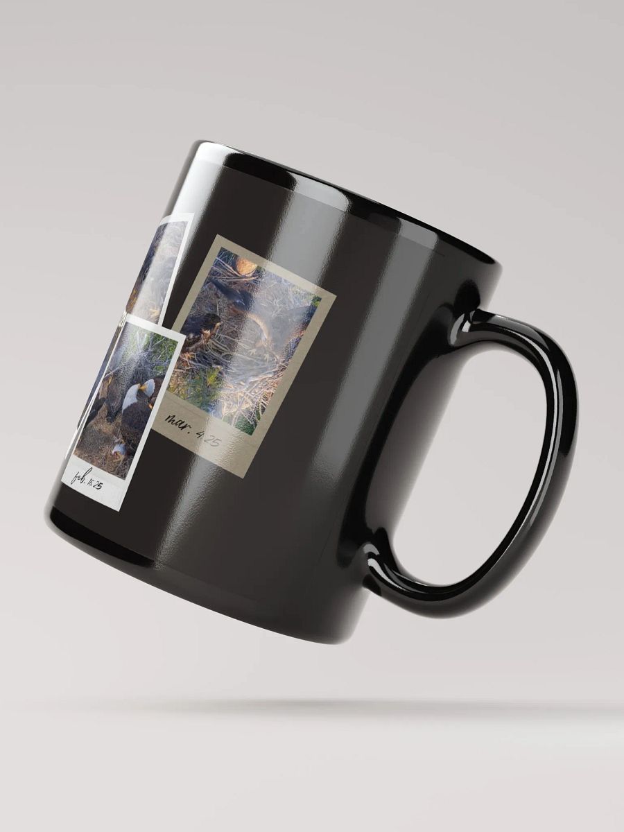 Journey | Black Mug | Captiva Eagle Cam 2024-2025 product image (3)