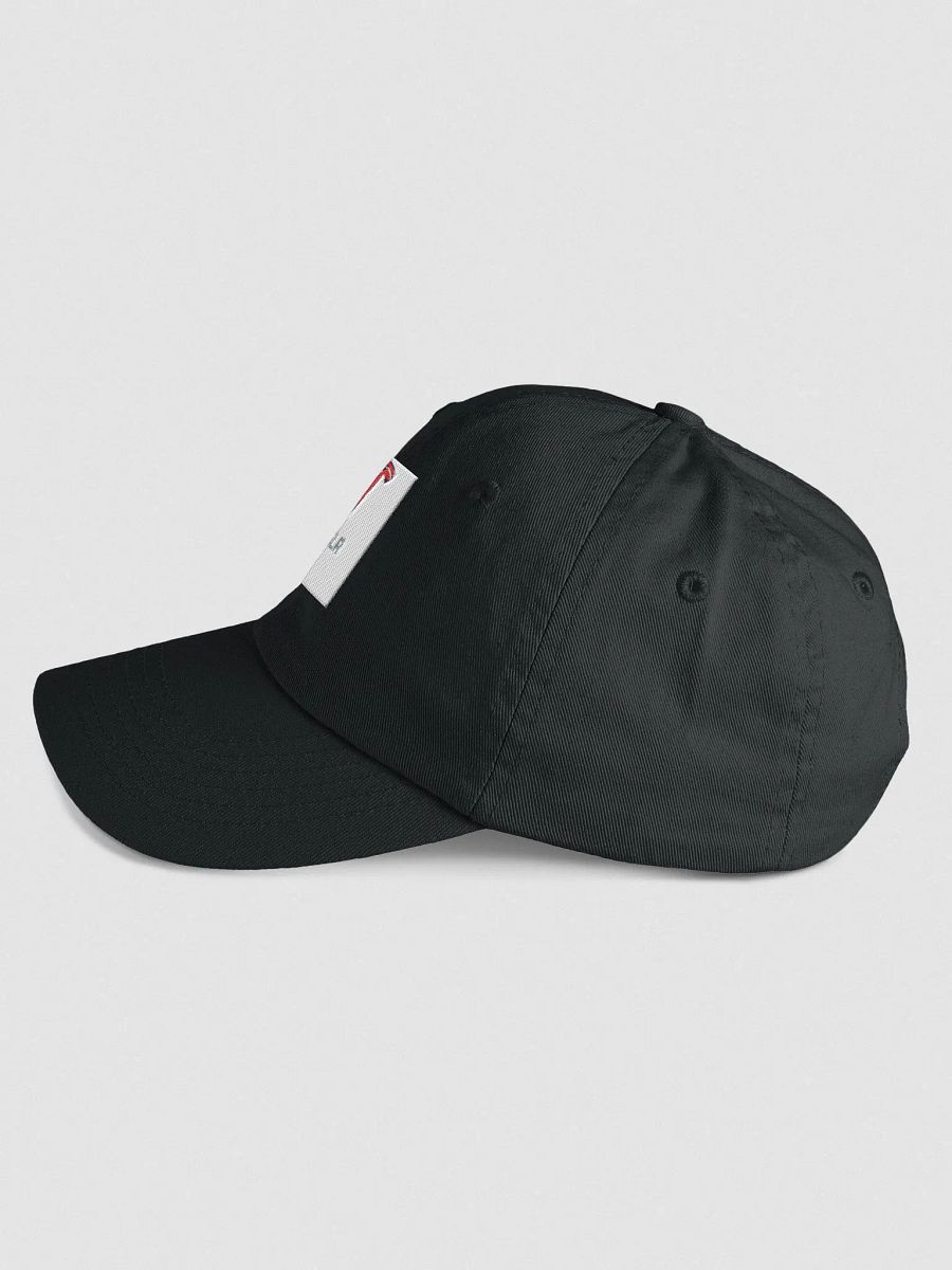 Valucap Youth Biowashed Tesla Hat product image (3)