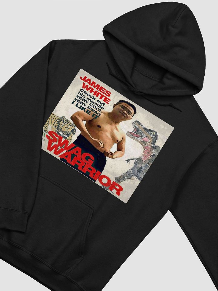 Gildan Classic Hoodie: swag warrior product image (19)