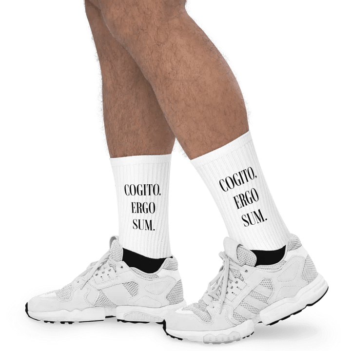 Cogito, Ergo Sum Socks product image (1)