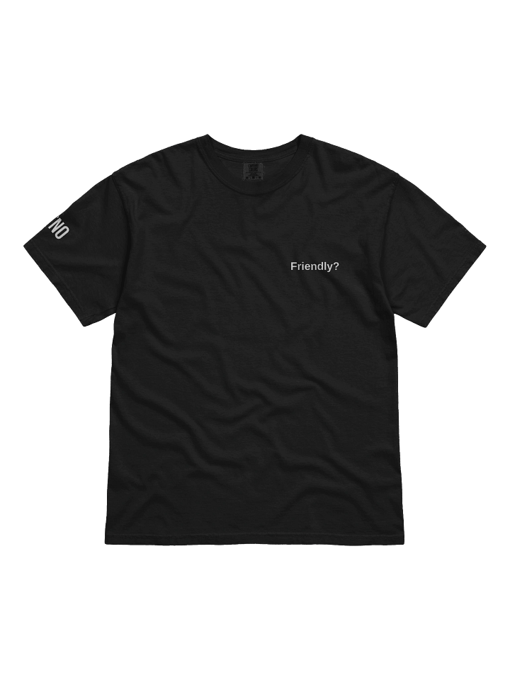 Friendly? T-Shirt product image (1)