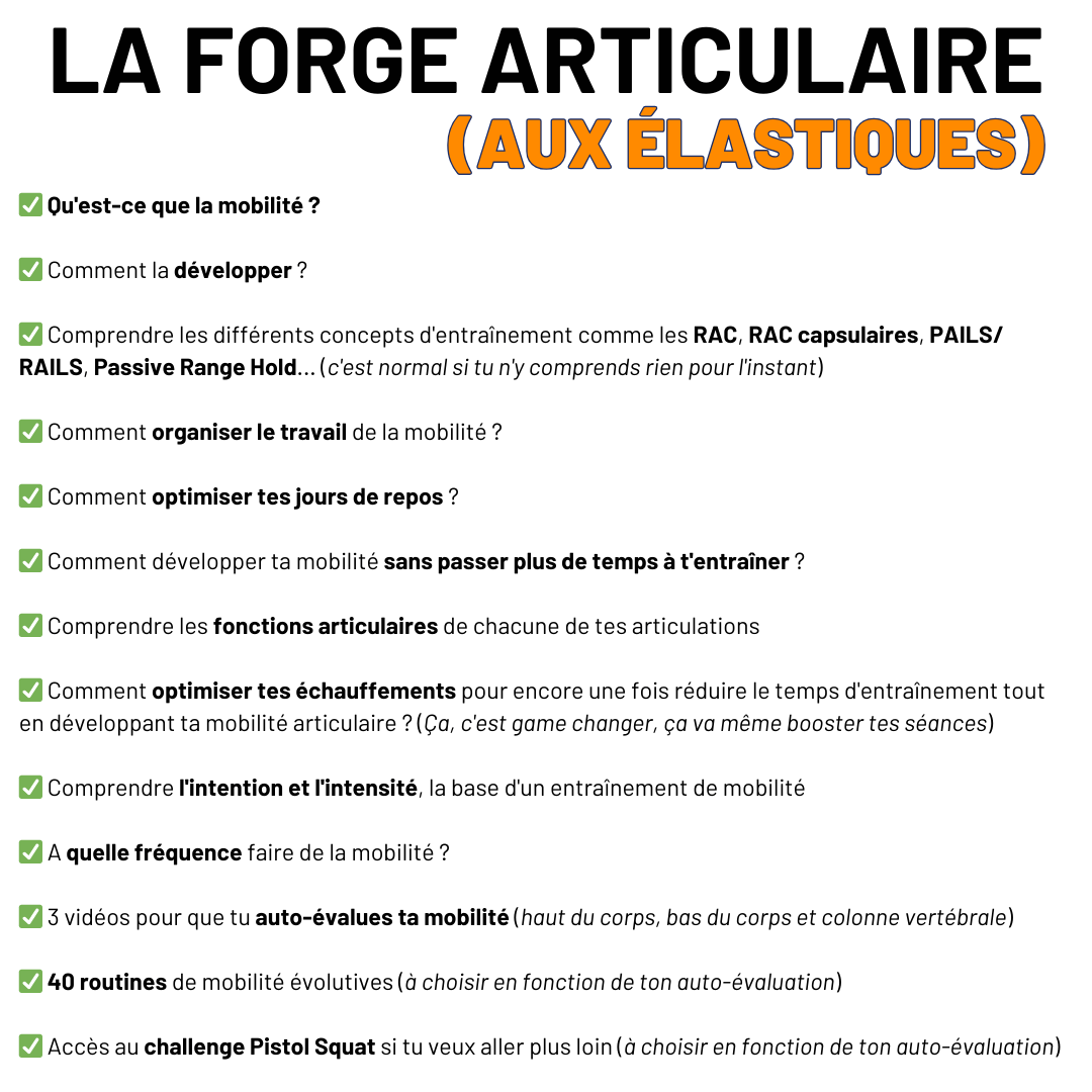 La Forge Articulaire (aux élastiques) product image (2)